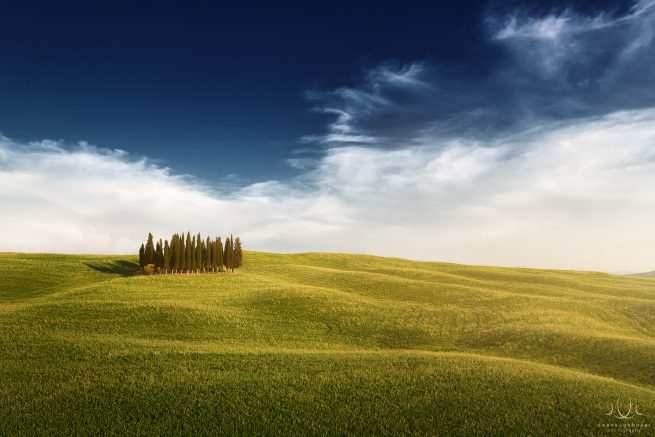 Uwe Neugebauer: Fourtytwo [Val d'Orcia, Tuscany, Italy]