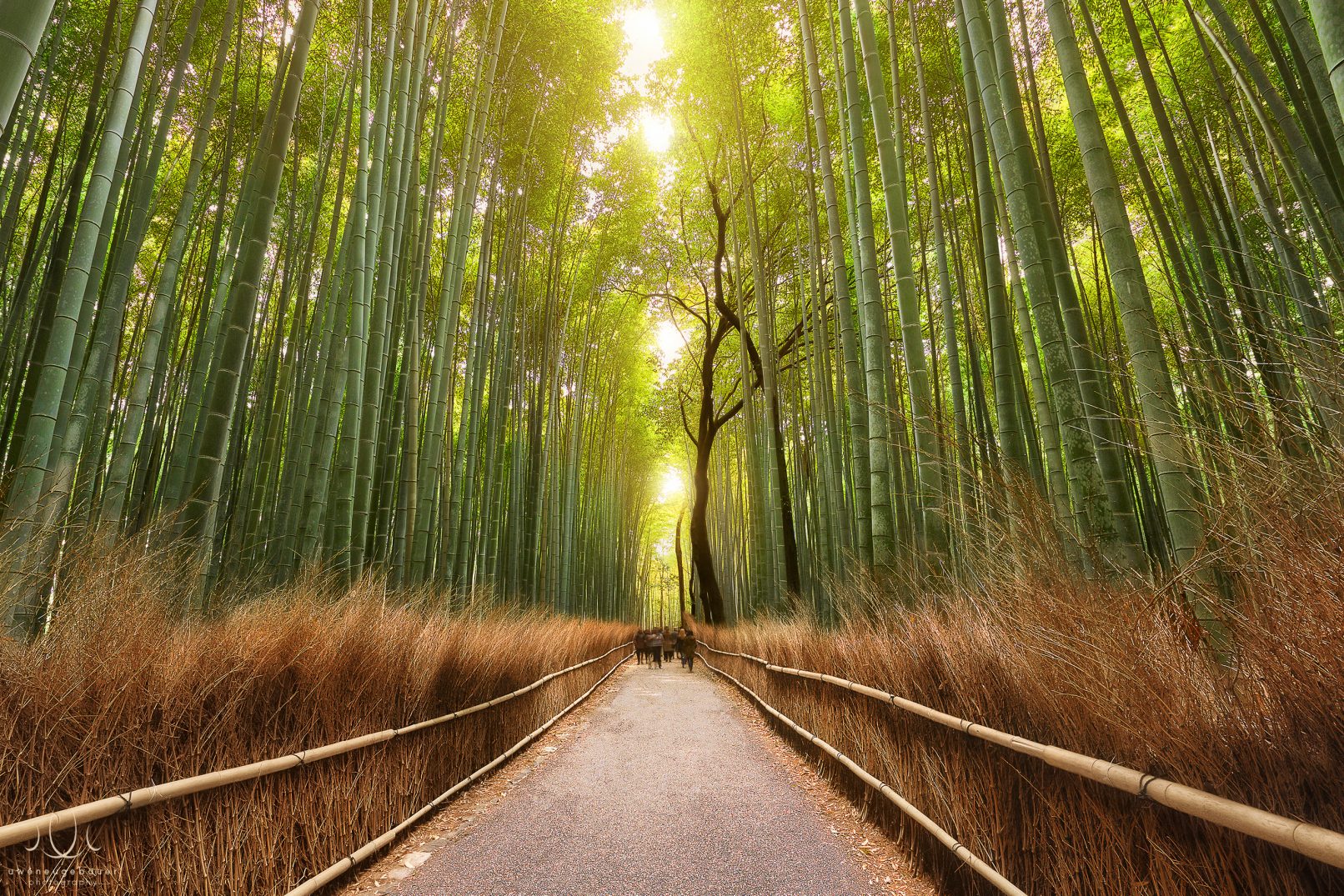Uwe Neugebauer: Panda's Paradise [Kyoto, Japan]